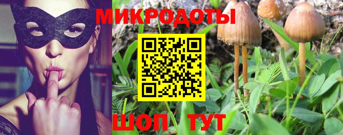 Псилоцибиновые грибы прущие грибы Бердск